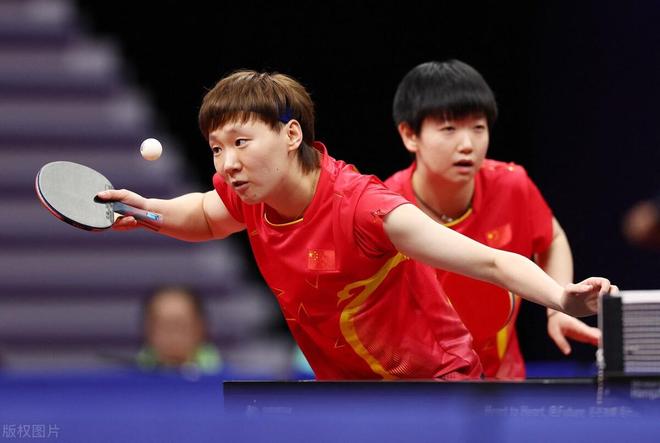 的教练人选 的教练人选